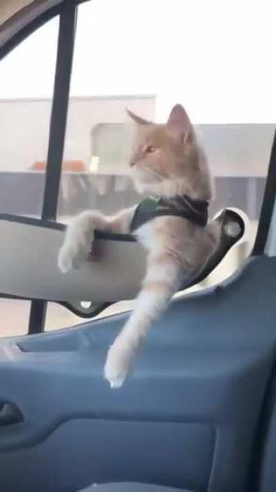 Living his best life