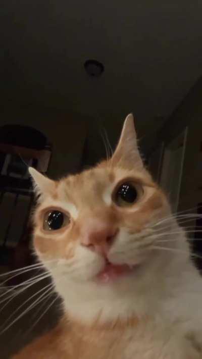 He got disconnected from the world