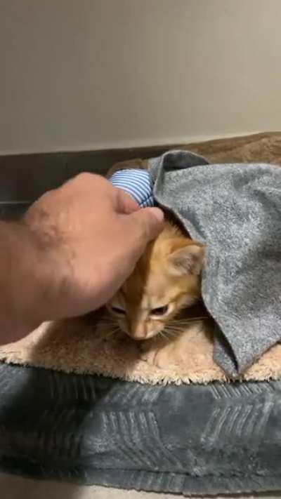 I’d do anything for my Georgie 🥲❤️