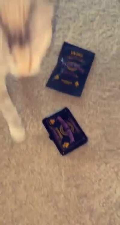 Well she is in her teen years 🤷🏽‍♂️