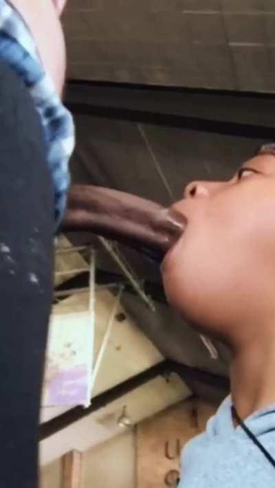 Great Dome Compilation 💦