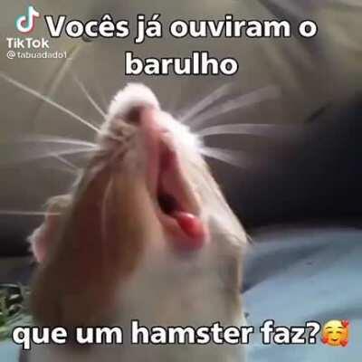 Nossa que lindo esse barulho