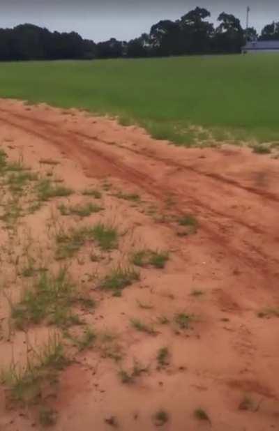 Guy tries to jump dirt bike and wins a prize.