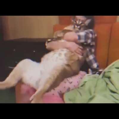 this made me smile everyday