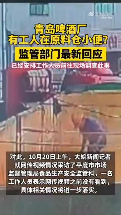 Video of Tsingtao beer employee peeing on the raw material. Now u know why ur beer taste like pee!