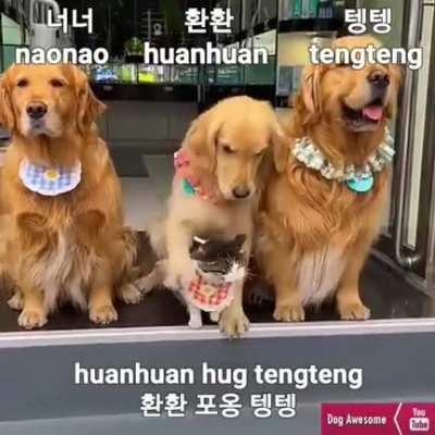 Perfect pic of the Family