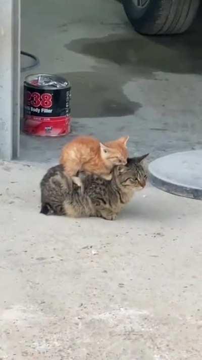 This is where it's convenient! ☺️