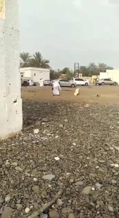 סקיבדיבה דם דהדה_