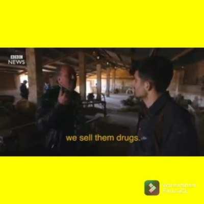 Average Libright in the Middle East