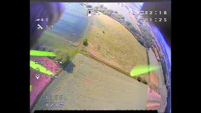 when a leaf blocks your view