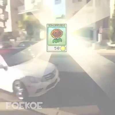 The sunflower gives sun Ö