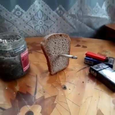 El pan de la Era Mesozoica