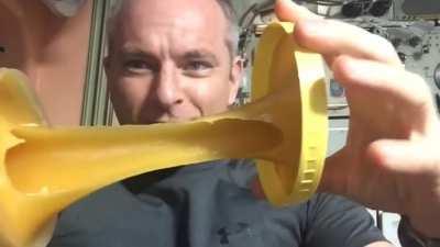 Honey in the Canadian Space Agency