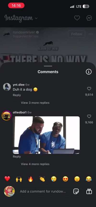 There’s no way the dog is human