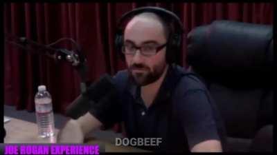 sigma male goes insane on Joe Rogan