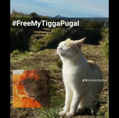 release mah tigga pugal