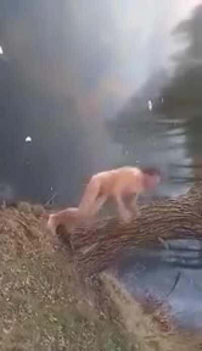 Gold medal diving final at the stupid drunk Russian Olympics - Blyat [NSFW - Nudity]