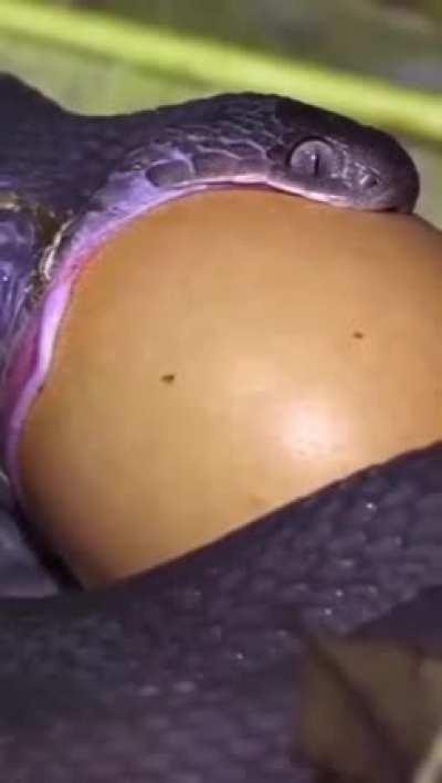 Среднестатистический рекабушник с девушкой.