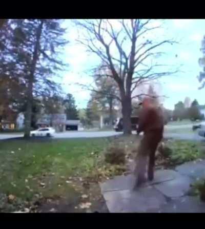 Excited dog terrifies UPS driver