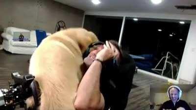 Catioros do Rubinho demonstrando o carinho que ele merece