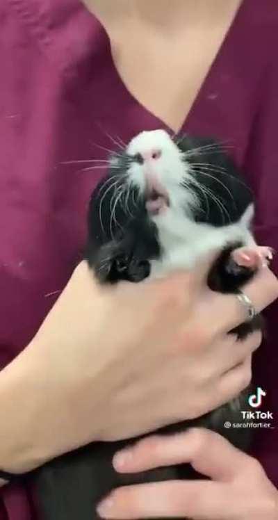 they are dramatic for no reason (credit @/sarahfortier_)