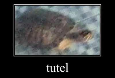 Tutel