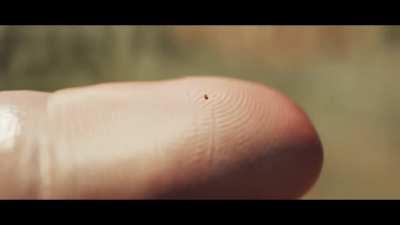 The mind-blowing scale of the milky way galaxy 