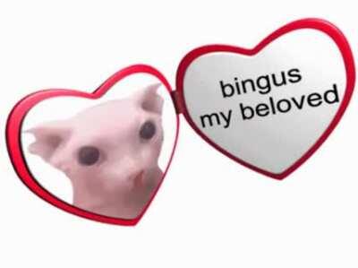 I love bingus
