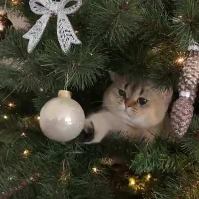 Xmas tree inspector