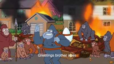 When MSM pretends to be on our side