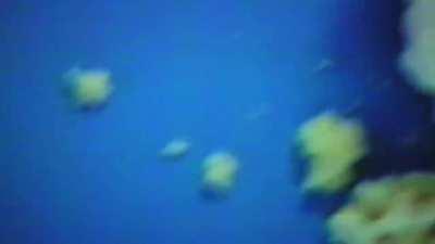 HBD Chloe gif by deboi317