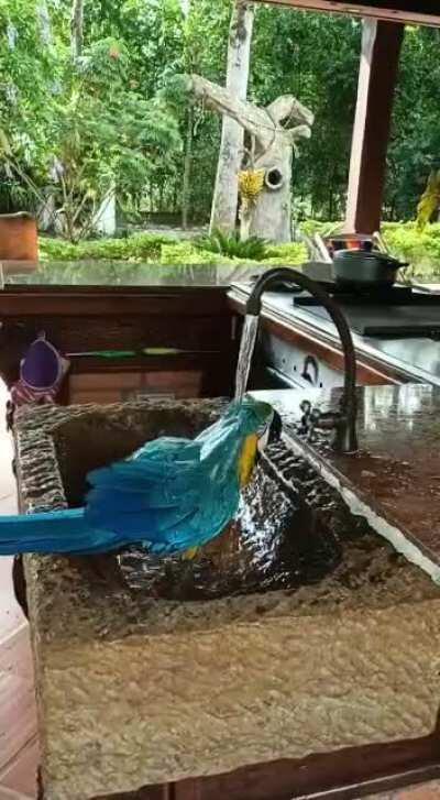 Hey Stop Doing That. Why Can't You See I'm Having A Gud Time