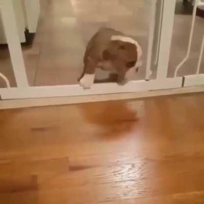 That jump is amazing