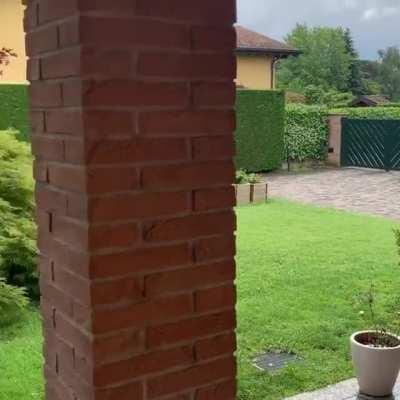 I gotta get this cat to play with me!