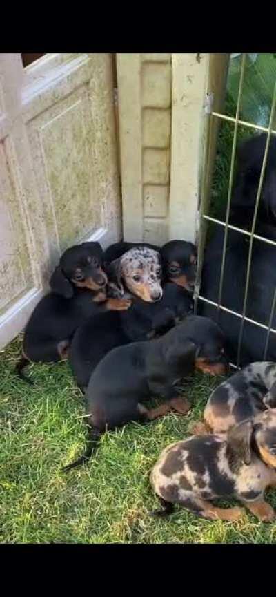 My First Encounter with the Future Key-holder to my Heart