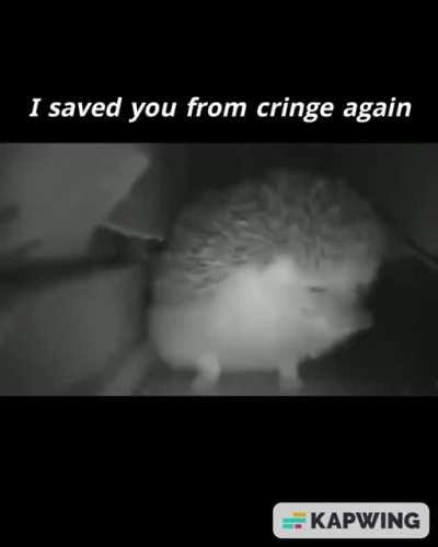 muh 💥 king 👑💯💥🔥 is vest. 😎