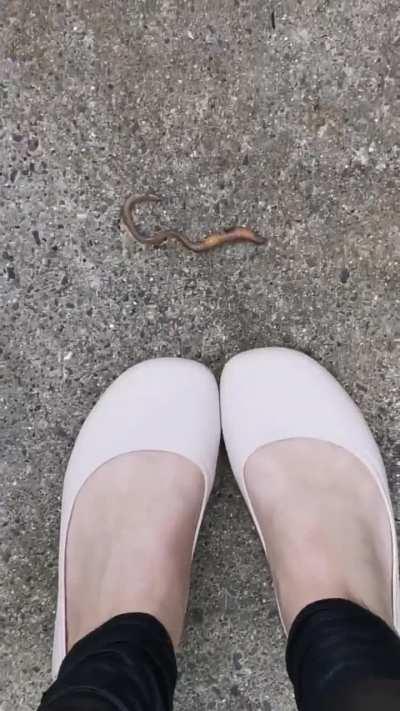 Crocs flats crush worms POV