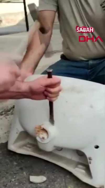 Turkish construction workers saving a cat stuck in a sink hole.