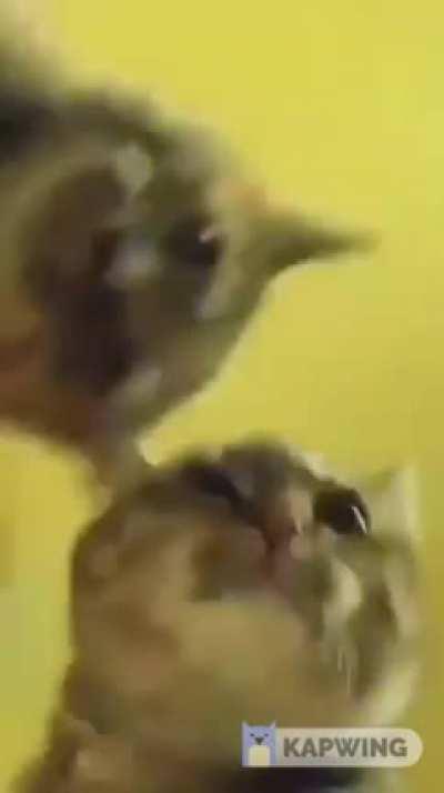 TURN THAT SHIT UP🎧🔊🤠