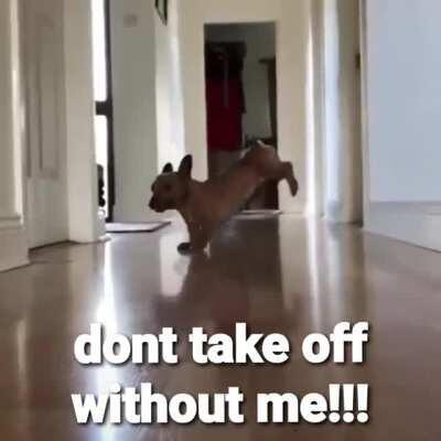 One more for the road