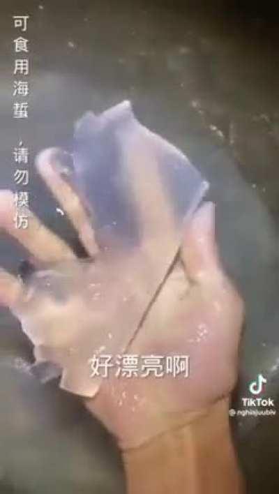 Did the last one get taken down?