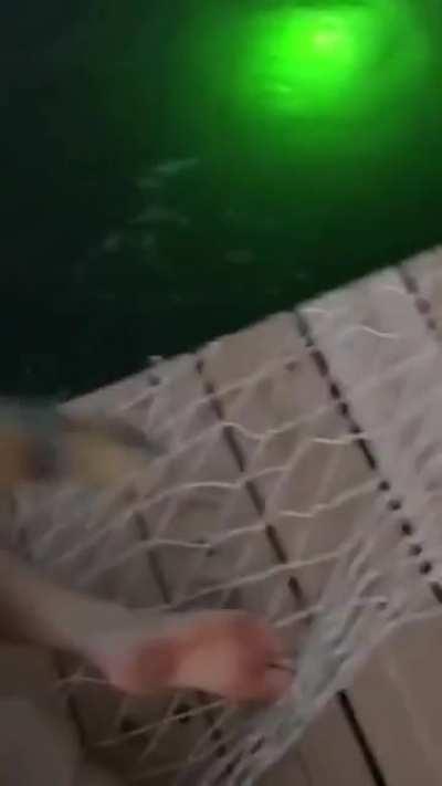 Gets funnier every time you watch it