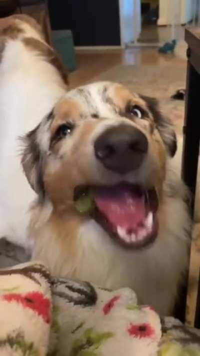 a pretty severe case of pickleface