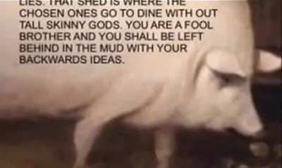 The wise pig, he asks to save his own specie