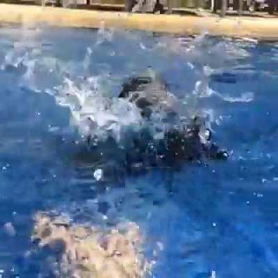 The water was a little deeper than he was expecting.