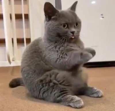 Big chunk stopped working