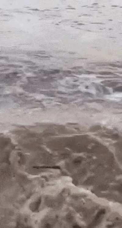 Relax, take a seat, enjoy the riverside, have some tea...