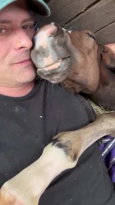 A big herbivorous puppy