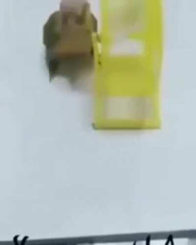 Hey bro, did you know hamsters love exercise wheels? Lemme show you how to work it.