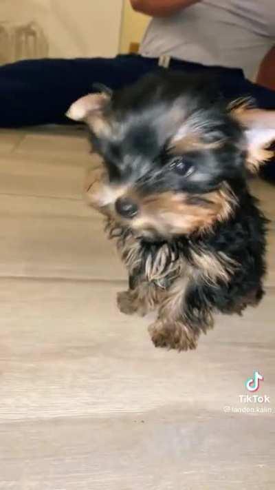 Come if home from a bar